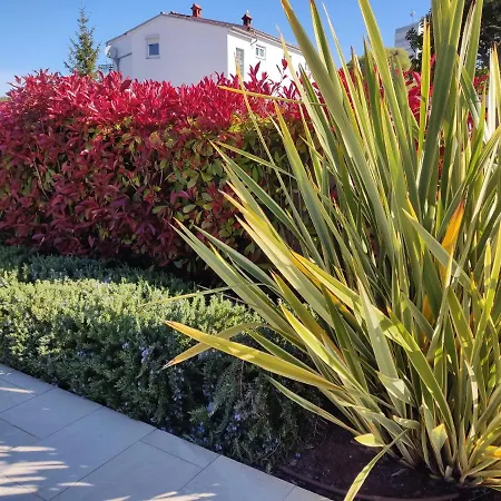 With Heated Pool, Regina * プーラ