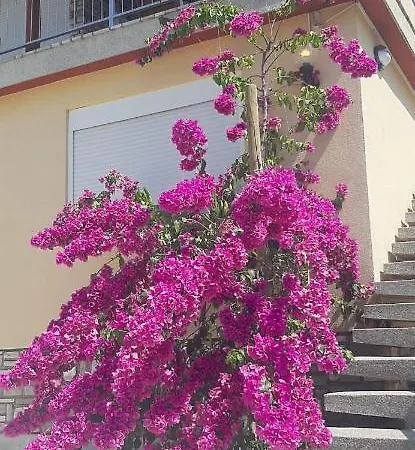 Apartament With Heated Pool, Regina *