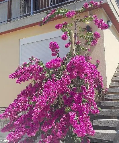 Apartman With Heated Pool, Regina *